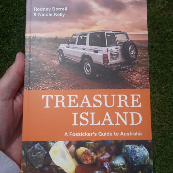 TREASURE ISLAND BOOK