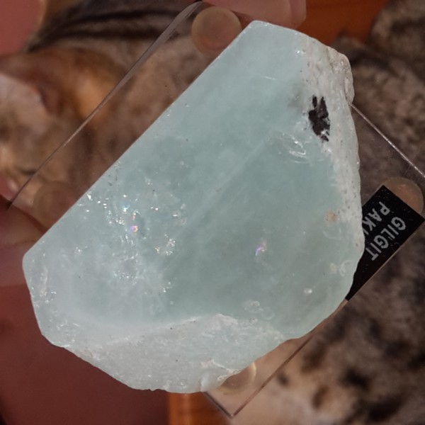 Raw Natural Crystal Gemstone Gorgeous Aquamarine Extra Large specimen